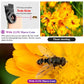 2-in-1 Clip-on Fish Eye & Macro Mobile Phone Lens – 15X Macro & 0.45X Super Wide Angle